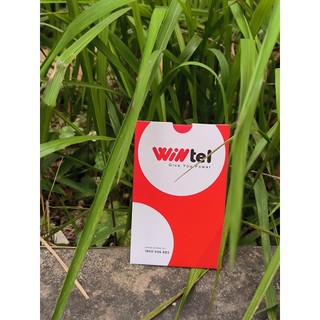 eSIM WINTEL WIN60 - Data tốc độ cao không giới hạn