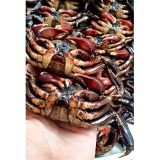 Ba khía muối Cà Mau (nguyên con)