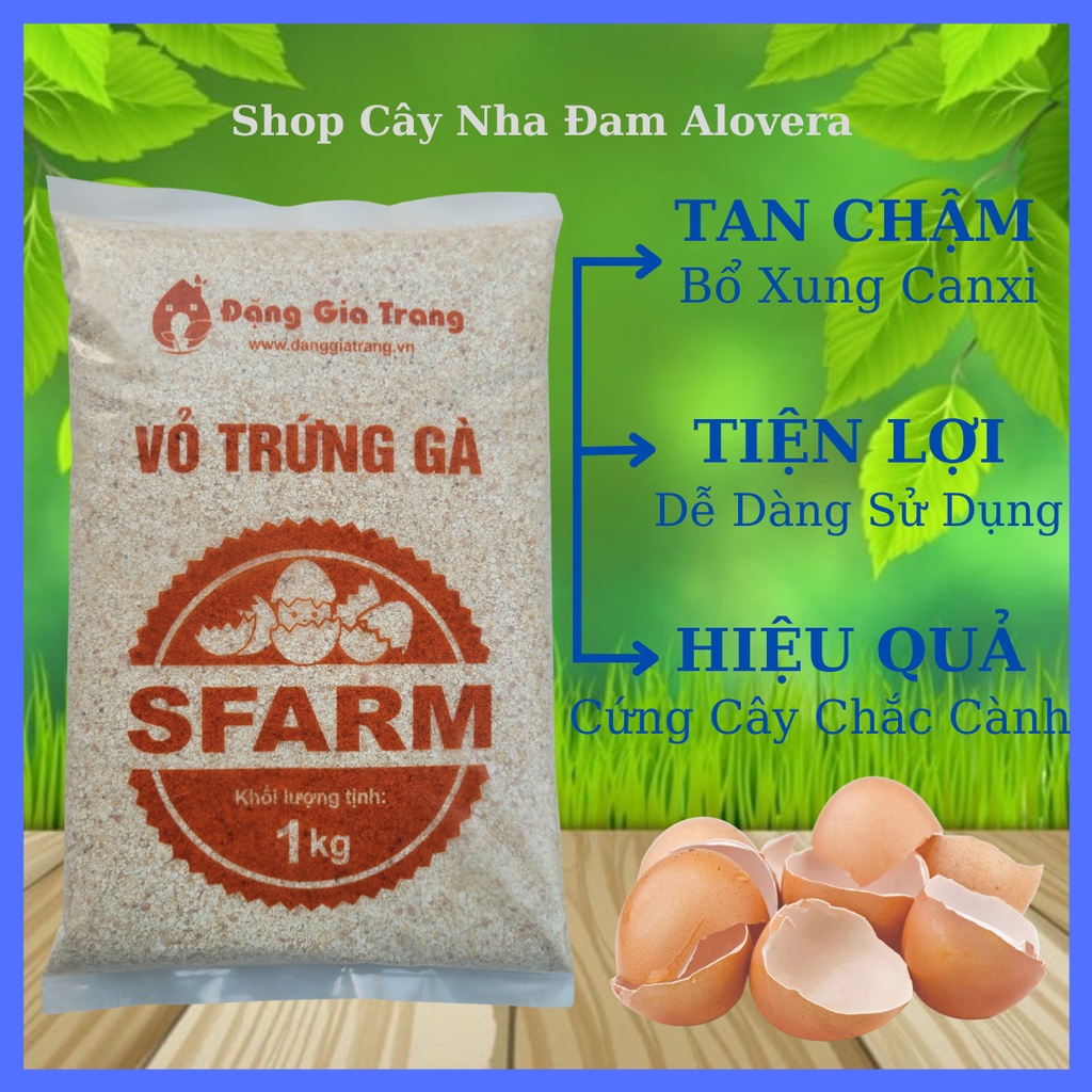 Vỏ Trứng Gà Đã Xử Lý Giúp Cây Khoẻ Mạnh, Hạn Chế Côn Trùng, Sâu Bệnh Gói 1KG