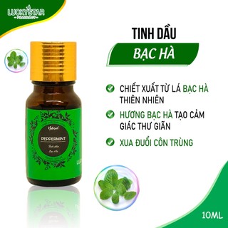 Tinh Dầu Bạc Hà Tặng Quà Treo Xe Lucky Star 10ml