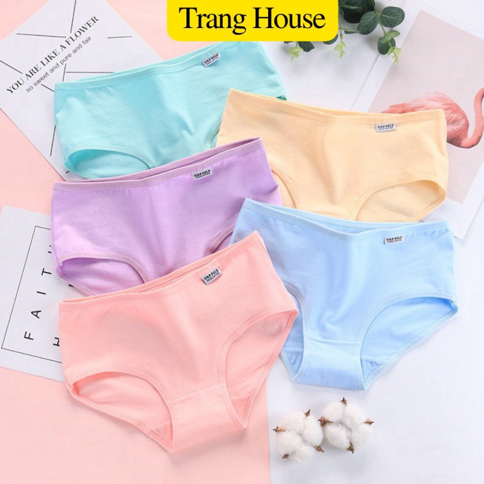 Sỉ 10c quần lót cotton PULO xuất mỹ - TRANGHOUSE
