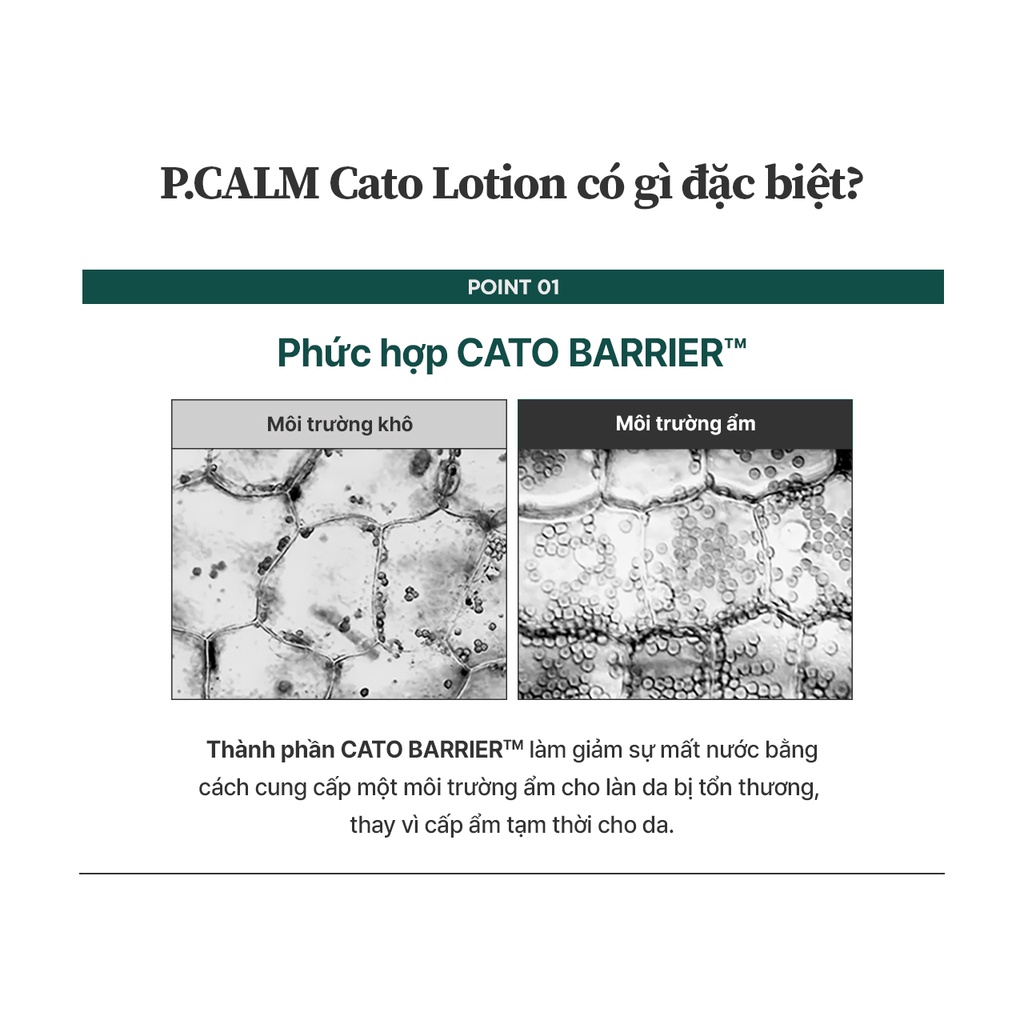 Lotion dưỡng ẩm P.Calm Cato Lotion 200ml dưỡng cho da mềm mại Daily Beauty Official