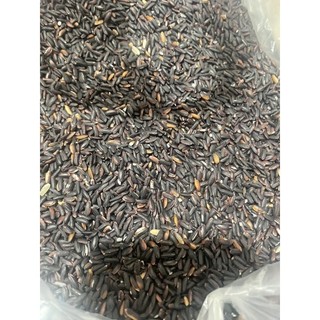 Nếp cẩm - nếp than đặc biệt