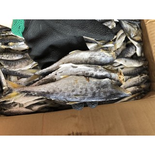 500g Cá thu nhỏ héo mặn / Cá thu phấn
