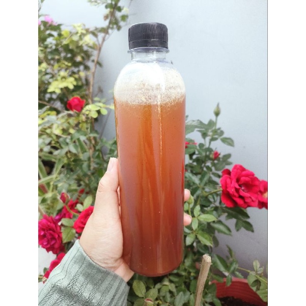 MẬT ONG HOA CÀ PHÊ