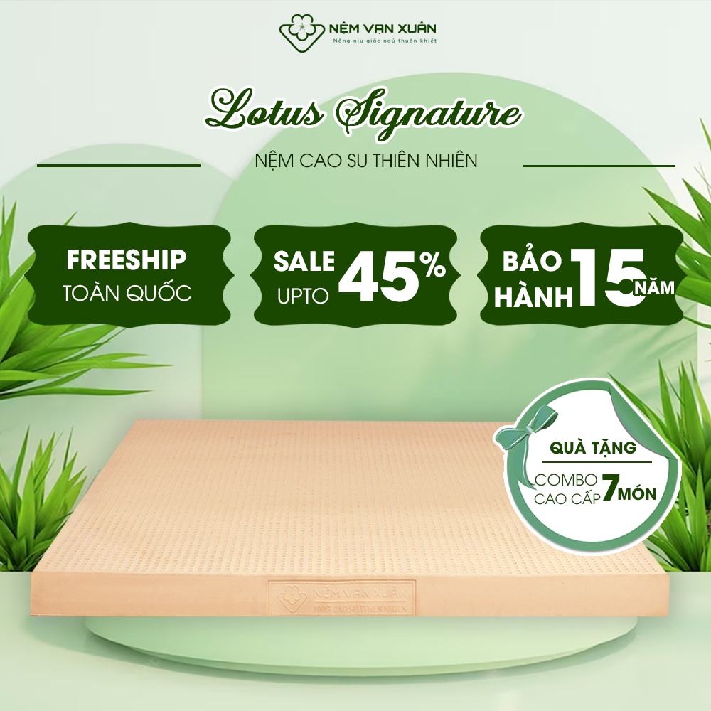 Nệm Cao Su Thiên Nhiên 100% Vạn Xuân Lotus Signature Nguyên Khối 100% Cao Su Thiên Nhiên Phù Hợp Với Người Đau Lưng