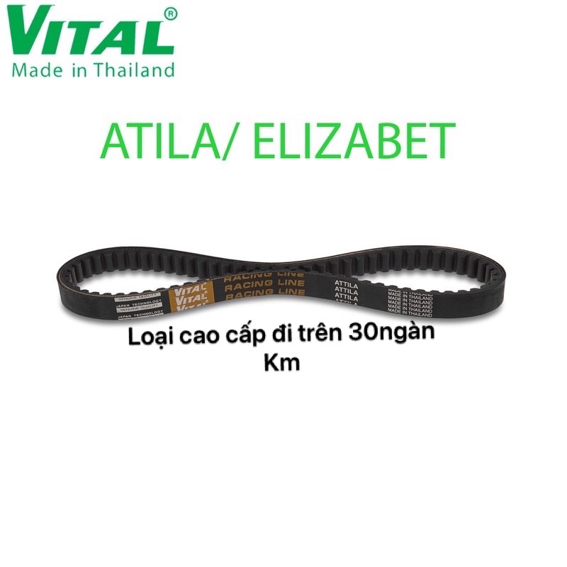 Dây Curoa ATILA , ATILA VICTORIA, ELIZABETH ,VENUS 125 >> Dây curoa VITAL chính hãng, hàng Thái lan chất lượng cao