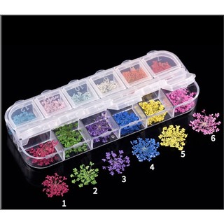 Sét Hoa Khô nhí đắp ẩn gel siêu xinh trang trí móng làm đẹp nail
