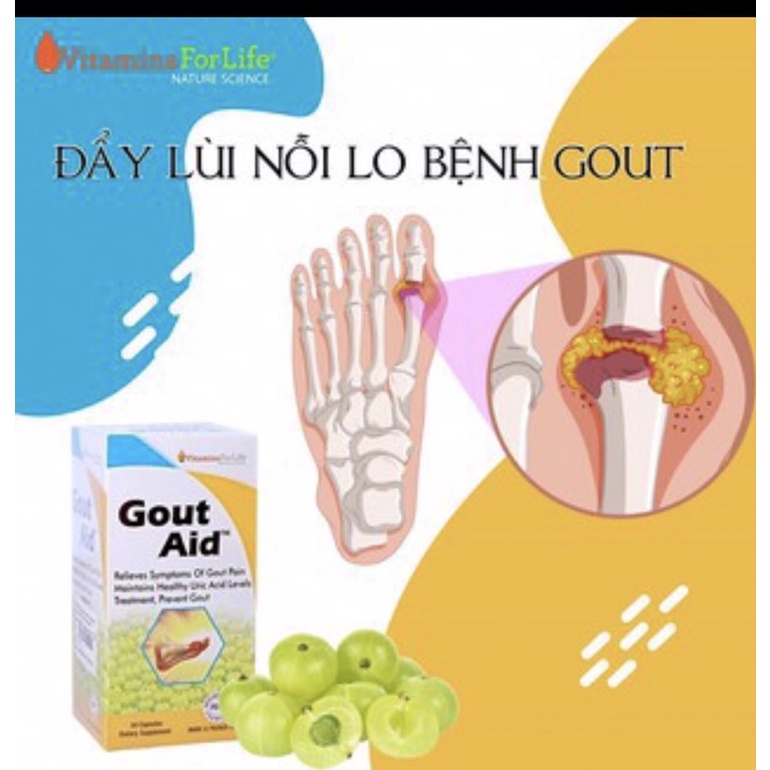GOUT AID - Mỹ Hỗ trợ điều trị, phòng ngừa bệnh gút, viêm khớp, tăng acid uric