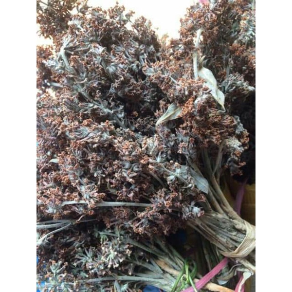 Hoa Bó Phón khô tây Bắc (hoa Mật Mông) 1 bó