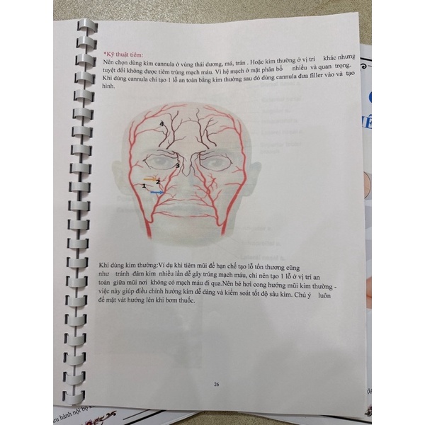 Hướng dẫn TIÊM FILLER & BOTOX đầy đủ, chuyên nghiệp cho spa