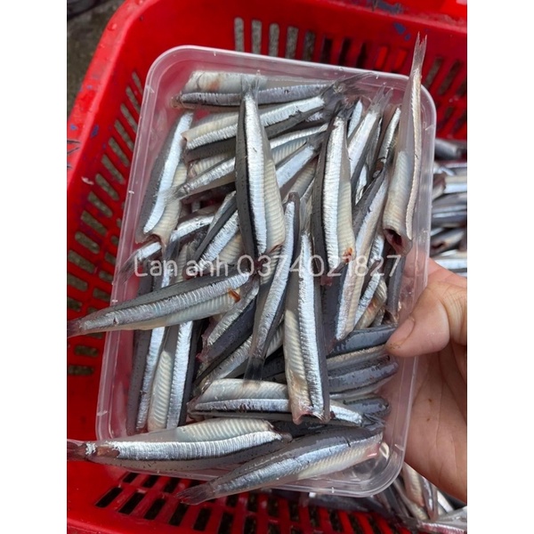 500gram cá cơm than tươi sống cấp đông tại ghe ở Đảo lý Sơn