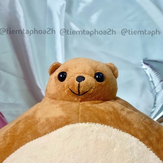 (NHIỀU SIZE - CÓ ẢNH THẬT) Gấu bông Tiny Head đầu nhỏ người to độc lạ