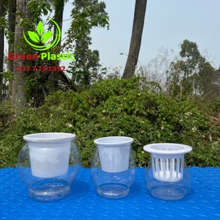 1 Chậu Nhựa Trồng Cây Thủy Sinh - Chậu Giả Thủy Tinh Trồng Thủy Sinh