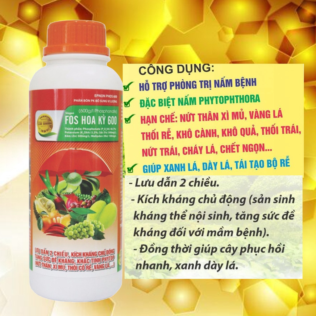 FOS HOA KỲ 600