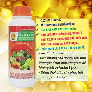 Fos hoa kỳ 600