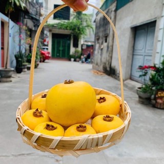 Giỏ tre, lẵng tre tay cầm, giỏ tre lẵng tre cắm hoa đựng đồ deocor trang trí, đựng hoa quả shop l