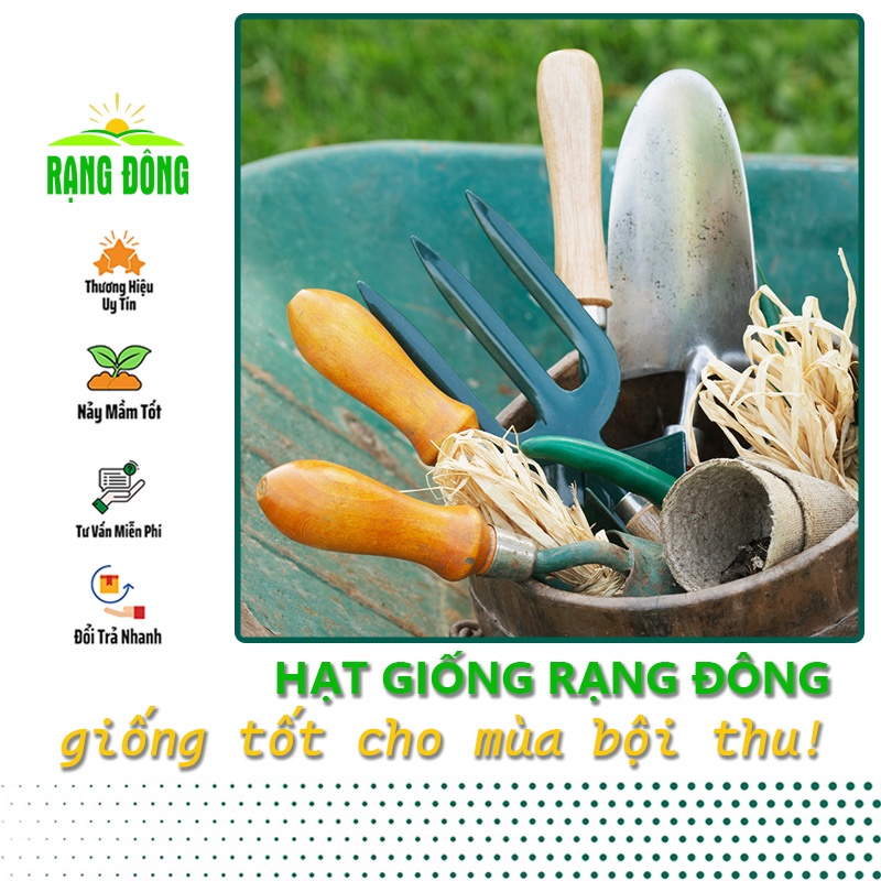 Dụng cụ làm vườn chuyên nghiệp, sản phẩm không thể thiếu giúp bạn dễ dàng trồng rau củ quả - Hạt giống Rạng Đông