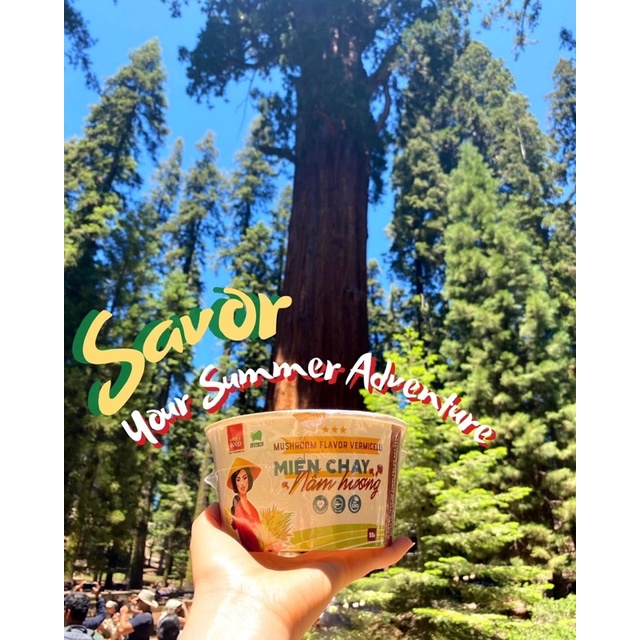 Miến Chay Nấm Hương Tô - SIMPLYFOOD