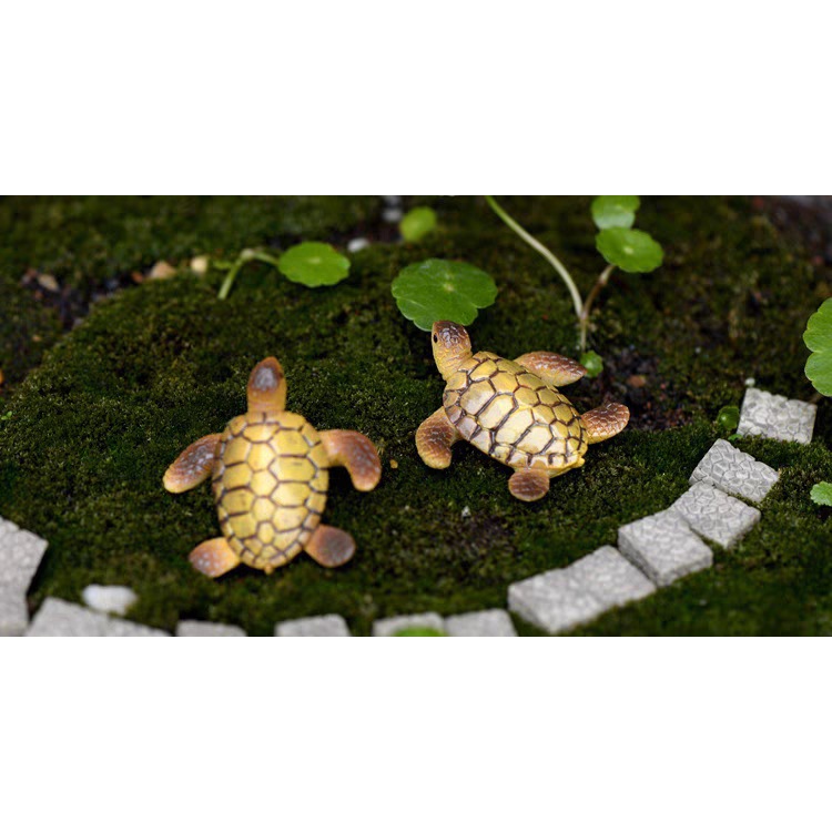 Mô hình con rùa biển kích thước 3x3,5cm  trang trí tiểu cảnh terrarium M2073