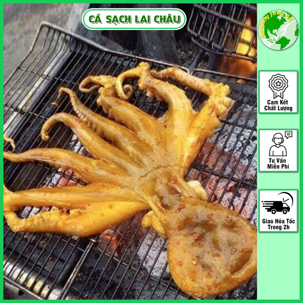 Bạch Tuộc Nướng Cá Sạch Lai Châu - Bạch Tuộc Nướng Nguồn Hản Sản Tươi Sống Từ Quảng Ninh