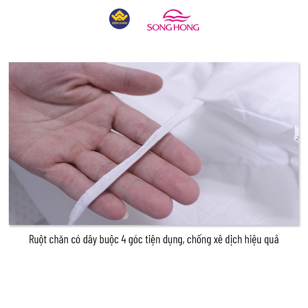 Ruột Chăn Đông Sông Hồng phân phối chính hãng tại Đệm Xanh