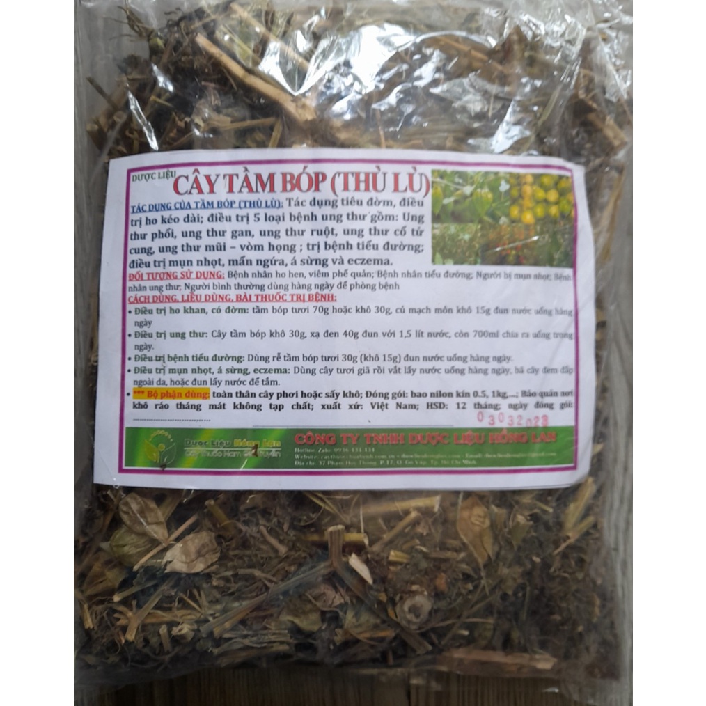 ✅ Trà Cây Tầm Bóp  khô sạch tự nhiên - duoclieuhonglan