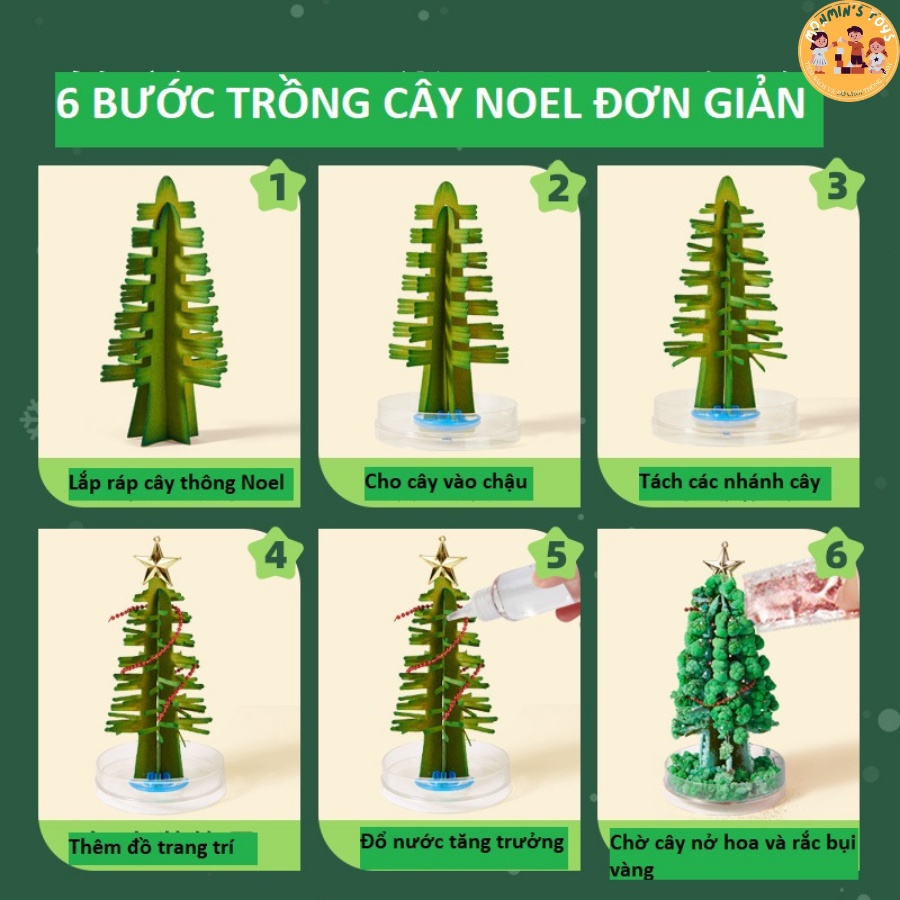 Cây Thông Ma Thuật - Mideer - Cây Thông Tự Nở Hoa