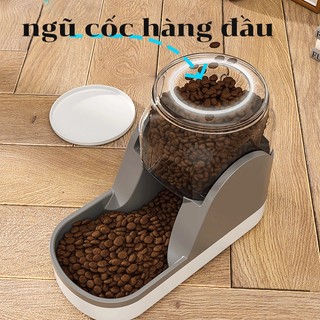 Bình Uống Nước Tự Động Cho Thú Cưng