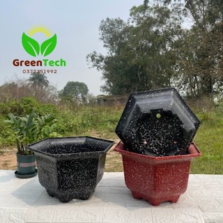 1 Chậu Nhựa Lục Giác Giả Đá 18,19