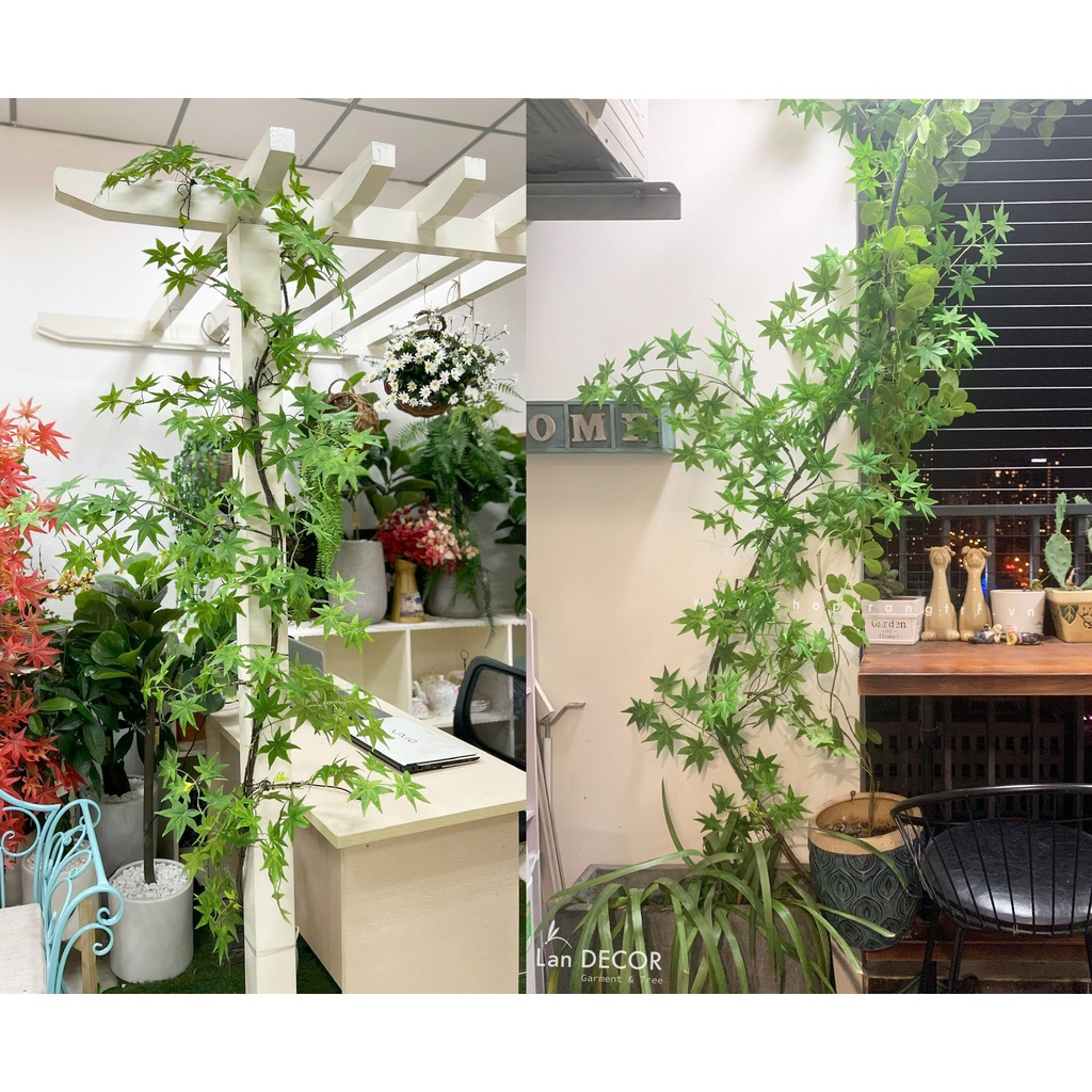 💥 CÂY GIẢ, CÀNH LÁ PHONG XANH, GIÀN CÂY PHONG GIẢ LEO TƯỜNG TRANG TRÍ BAN CÔNG PHÒNG KHÁCH VĂN PHÒNG (230CM)