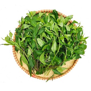 Rau: Chậu cây Bầu Đất - Loài rau dễ trồng với nhiều công dụng