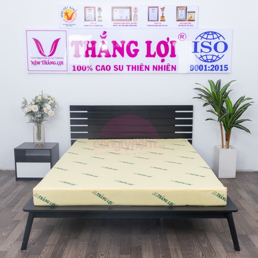 Nệm Cao Su Non Thắng Lợi foam thiên nhiên 10cm 15cm 20cm 1m 1m2 1m4 1m6 1m8 Bảo Hành 15 năm Đạt Thắng