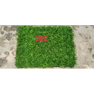 Thảm cỏ nhân tạo Vinagreen, cao 25mm, màu xanh sẫm - 2m2 cỏ sân vườn 25mm , đế xanh cao cấp, sợi cỏ dày, chắc