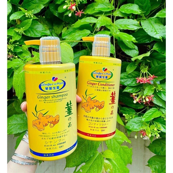 Dầu Gội Xả Gừng Ginger De Hair Nhật Bản 1000ml