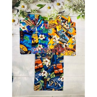 Sét đồ gia đình hawaii bigsize