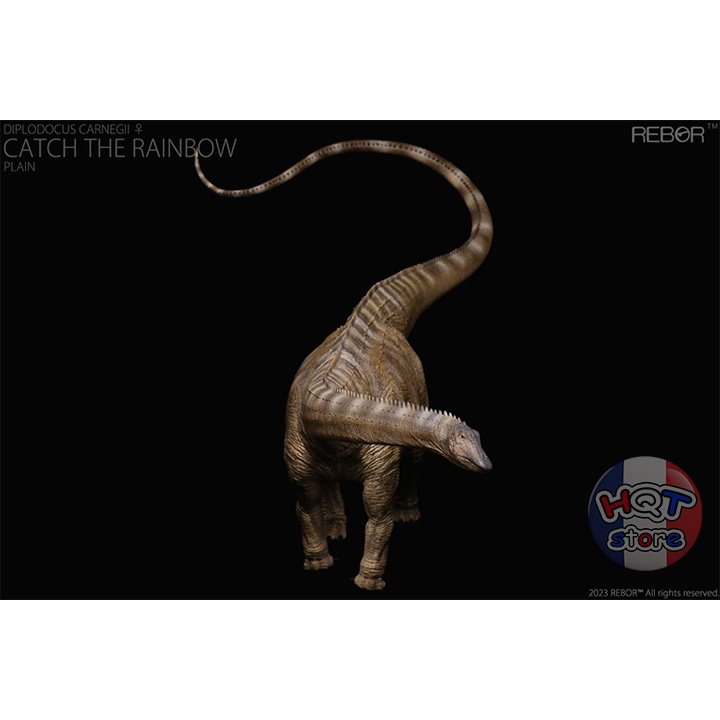 Mô Hình Khủng Long Diplodocus Rebor tỉ lệ 1/35 chính hãng