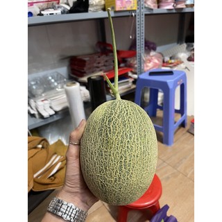 Dưa Lưới ALADIN