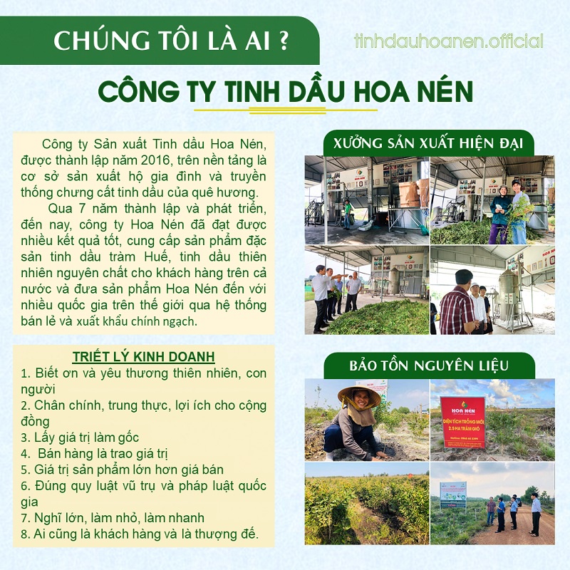 Tinh dầu hoa Ngũ Sắc nguyên chất Hoa Nén
