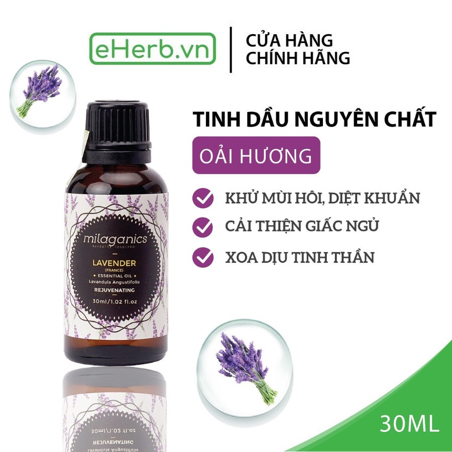 Tinh dầu oải hương thư giãn tinh thần, giảm đau đầu, cải thiện giấc ngủ ngon MILAGANICS 30ml