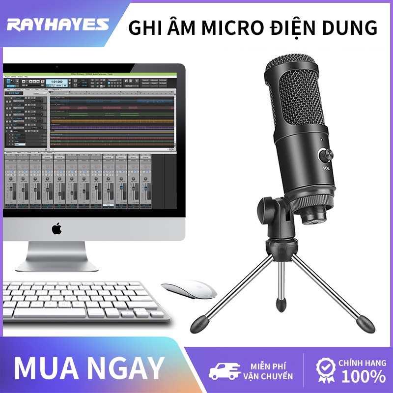 RAYHAYES Bộ ghi âm micrô ngưng tụ USB có chức năng giảm tiếng ồn và giảm tiếng ồn