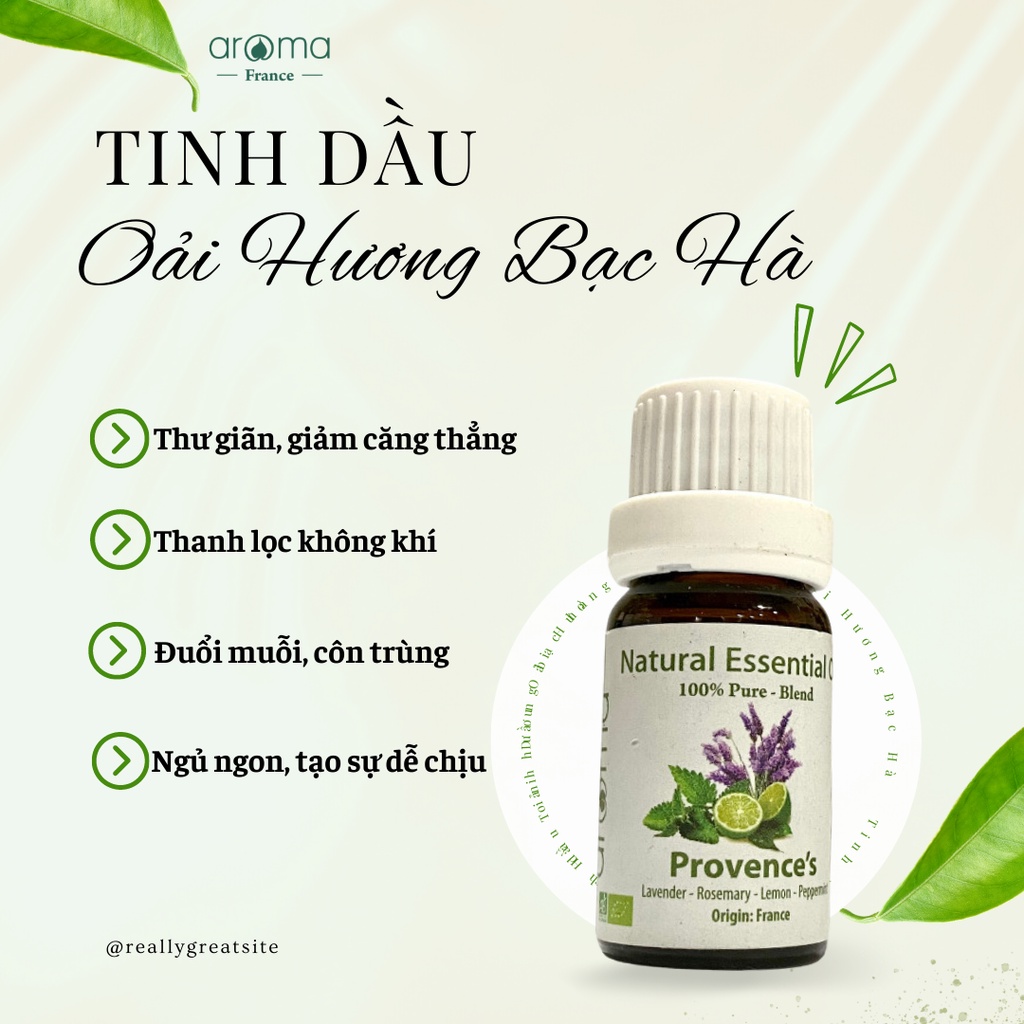 Tinh Dầu Thiên Nhiên / AROMA / Oải Hương & Bạc Hà - Provence’s Essential Oil 10ml