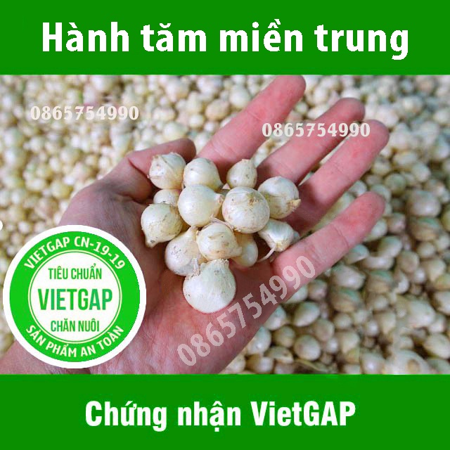 Củ Hành Tăm, Củ Nén Đẹp Đạt Tiêu Chuẩn An Toàn, Chất Lượng Mùa Mới - 0,5Kg [Mã FreeShip]