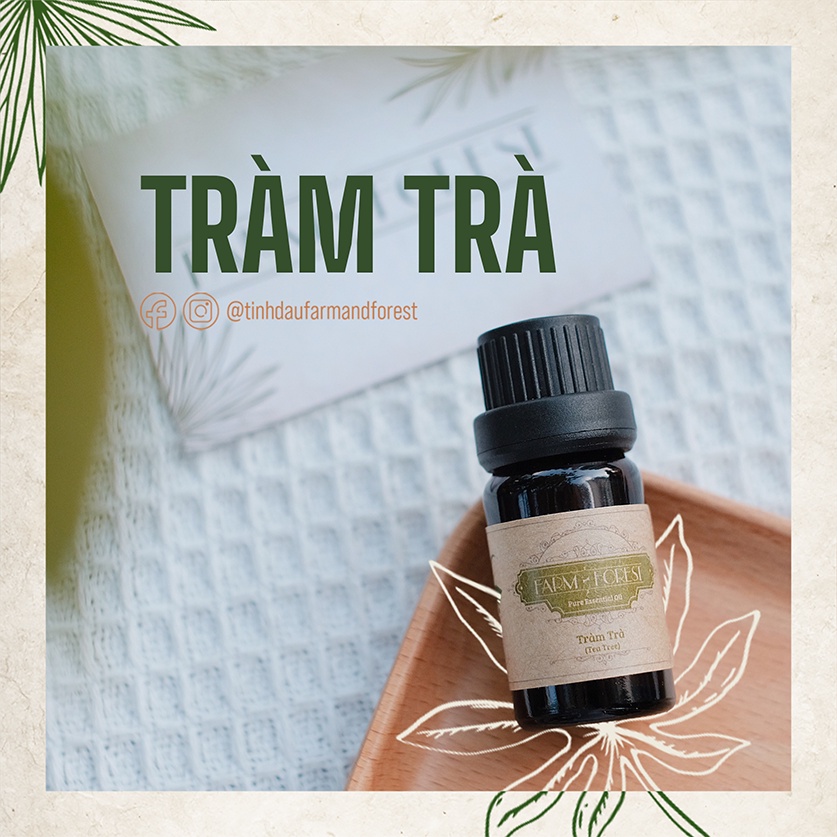 Tinh Dầu Tràm Trà 10ml, Tinh Dầu Thiên Nhiên Nguyên Chất, Farm & Forest, Giảm Căng Thẳng, Lọc Không Khí, Kháng Khuẩn