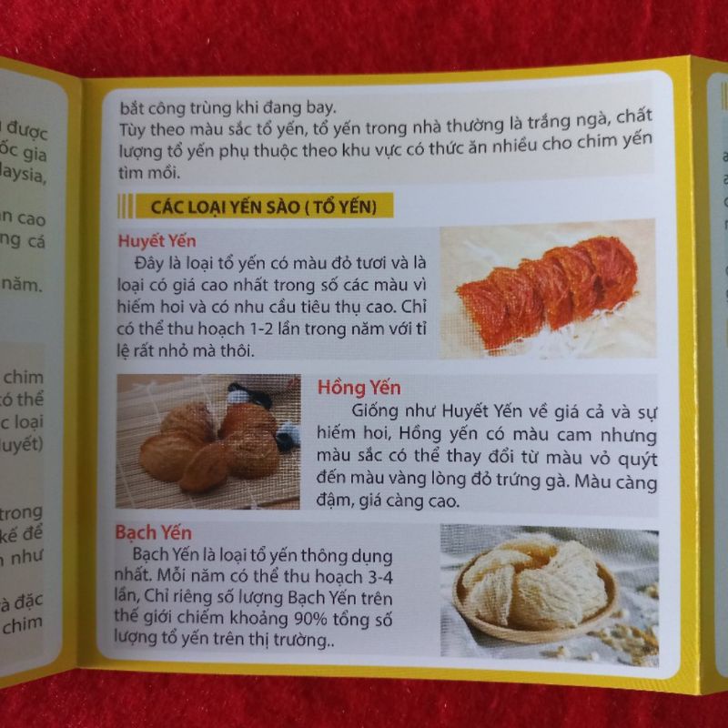 Cẩm nang yến sào