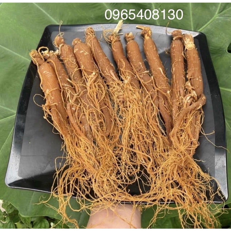 HỒNG SÂM SẤY DẺO ( Thơm Chuẩm )