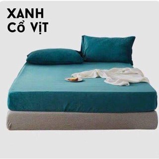 Bộ Ga Gối Cotton Tici (01 Ga, 02 Vỏ Gối Nằm)