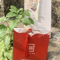 THIÊP CƯỚI HIỆN ĐẠI MỚI 2023 - VIP
