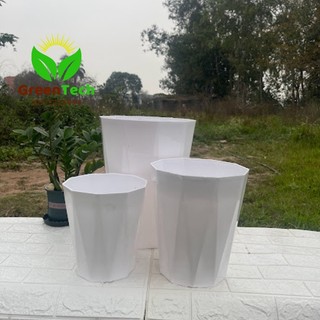 1 Chậu Nhựa Kim Cương Trắng 30x40- Chậu Nhựa Trồng Cây Hoa