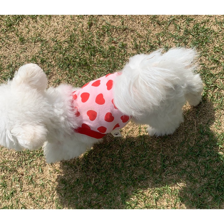 ÁO 2 DÂY TRÁI TIM SIÊU CUTE MÁT MẺ MÙA HÈ CHO THÚ CƯNG